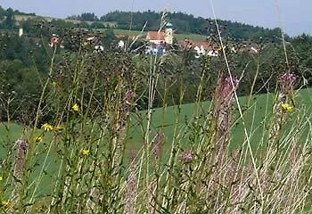 Landgasthof Am Sonnenhang Hotel Vohenstrauss Guest house